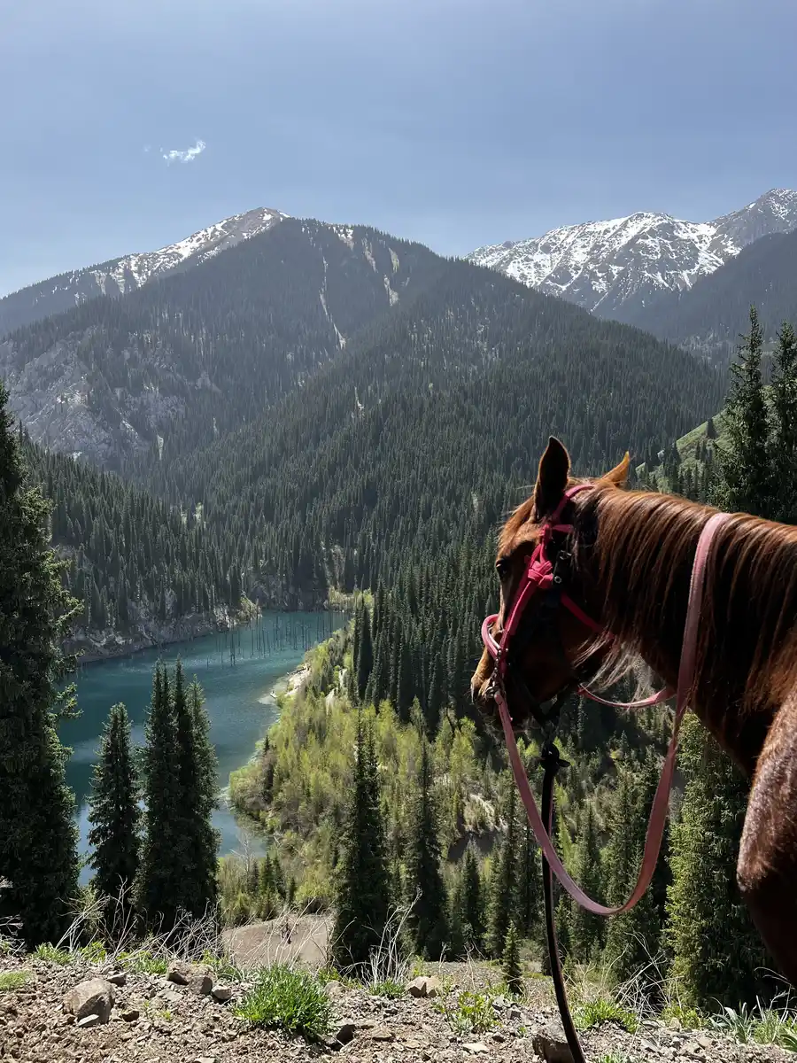 Horse's head in the foreground overlooking Kolsai Lake nestled among snow-capped mountains and pine forest